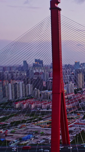 上海杨浦大桥航拍东方明珠13秒视频