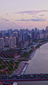 上海杨浦大桥航拍天际线视频