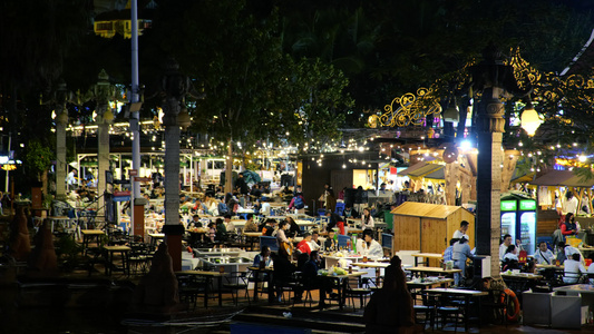 西双版纳夜景视频