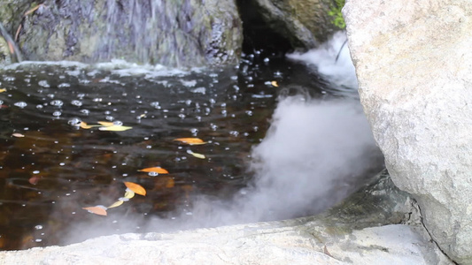 热带花园的瀑布流到小溪视频