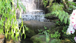 热带花园的瀑布流到小溪6秒视频