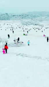 重庆武隆仙女山大草原滑雪场滑雪场雪景视频