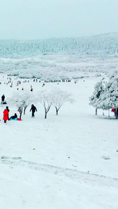 重庆武隆仙女山大草原滑雪场旅游景区视频