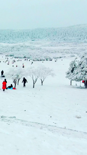 重庆武隆仙女山大草原滑雪场旅游景区66秒视频