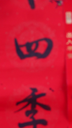 新年金元宝小金牛饰品红红火火过大年26秒视频