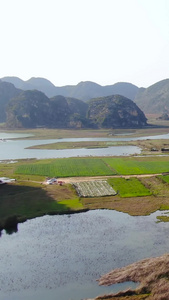 航拍5A景点云南喀斯特地貌湿地公园普者黑景区视频田园风光视频