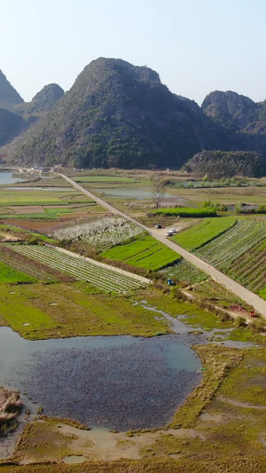 航拍5A景点云南喀斯特地貌湿地公园普者黑景区视频旅游景区46秒视频