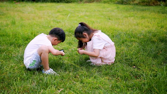4k实拍小朋友在草坪上用放大镜观察植物视频