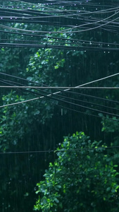 下雨天路上电线视频