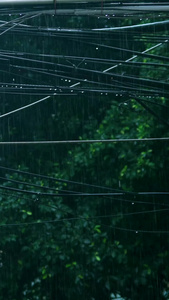 下雨天路上电线视频