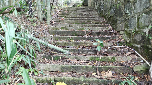 甘露寺视频