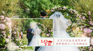 七夕婚礼表白相册浪漫婚礼模板EDIUS8模板144秒视频
