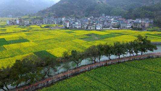 浙江开化音坑油菜花风光航拍合集视频