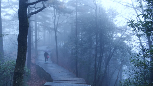 下山的路[回山]视频