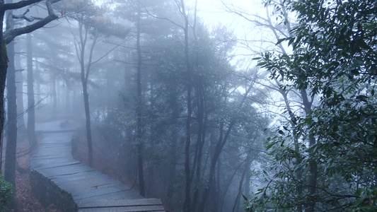 下山的路[回山]视频