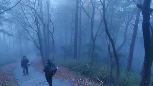 下山的路[回山]视频