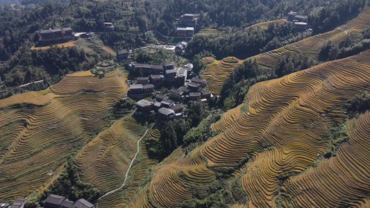 桂林龙脊天堂视频