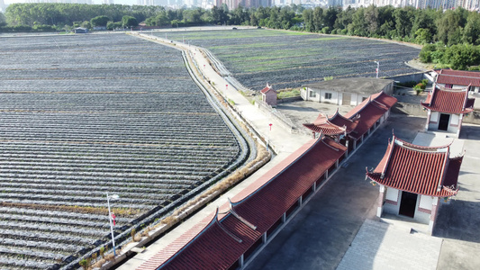 航拍古建筑寺庙 视频