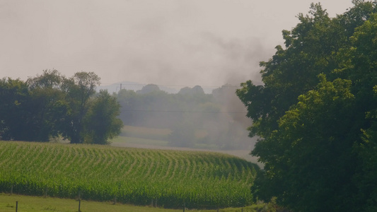 在一个多云的天天有烟雾飘在玉米田上视频