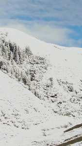 被大雪覆盖的高原山脉航拍视频自然风光视频