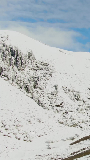 被大雪覆盖的高原山脉航拍视频自然风光71秒视频