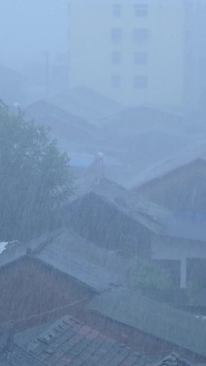 大暴雨大雨磅礴47秒视频