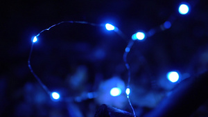 地面灯光照亮点亮树叶和树枝20秒视频