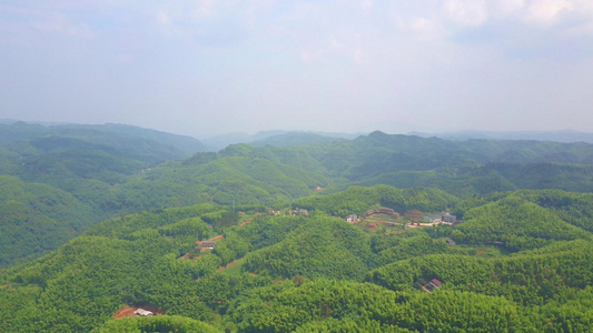   白节大旺竹海延时航拍乡村振兴绿色发展竹子视频