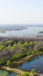 航拍泰州溱湖国家湿地公园5A景区视频旅游目的地视频