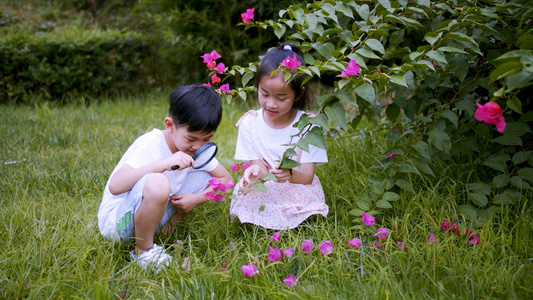 4k实拍小朋友在户外草地边看鲜花[小盆友]视频