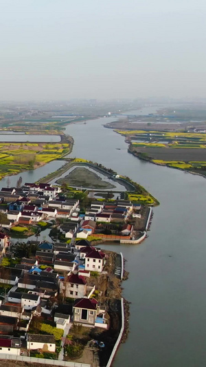 航拍兴化千垛景区湿地油菜花村庄视频旅游景区51秒视频