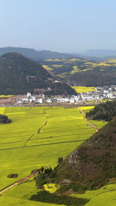 航拍云南著名旅游景点罗平金鸡峰丛景区视频旅游景区视频