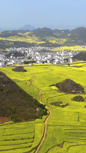 航拍云南著名旅游景点罗平金鸡峰丛景区视频旅游目的地视频