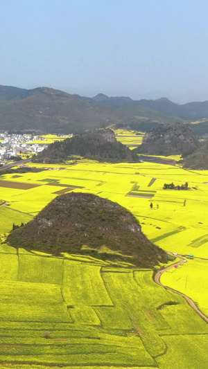 航拍云南著名旅游景点罗平金鸡峰丛景区视频旅游目的地60秒视频