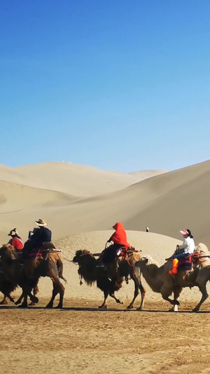 沙漠旅游骆驼队骑行观光视频素材自然风光34秒视频