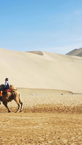沙漠旅游骆驼队骑行观光视频素材自然风光视频