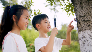 4k实拍小朋友在户外草地用放大镜认真观察昆虫10秒视频