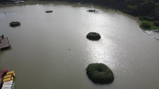 湖南衡阳西湖公园航拍视频[柳浪闻莺]视频