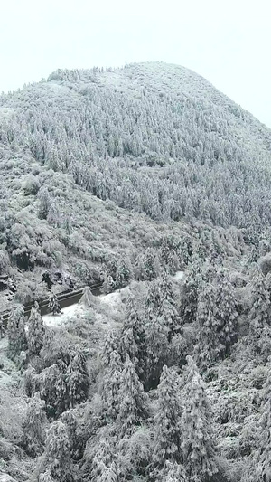 雪山间的盘山公路公共交通62秒视频