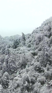 雪山间的盘山公路仙女山公路视频