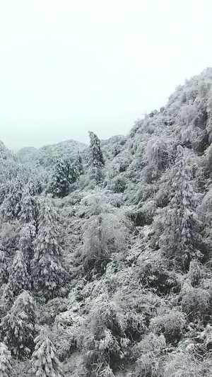 雪山间的盘山公路仙女山公路62秒视频