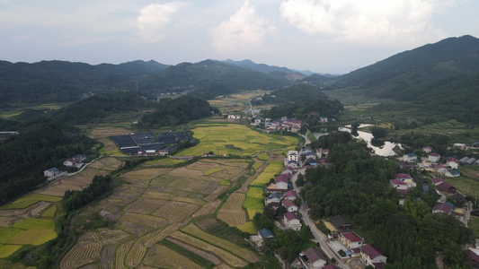 农田农业种植航拍视频