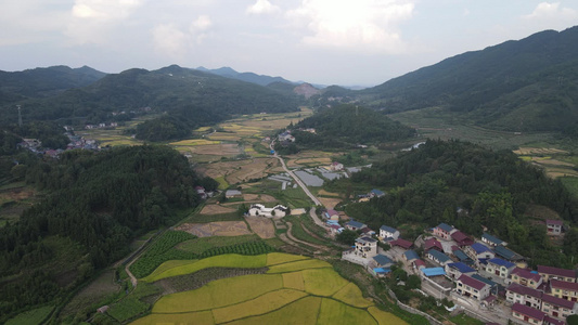 农田农业种植航拍视频