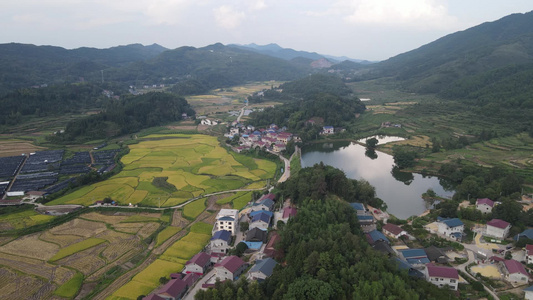 农田农业种植航拍视频