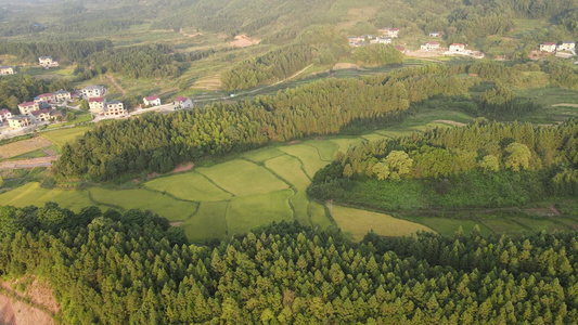 农田农业种植航拍视频