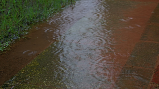 下雨雨滴雨水雨天夏天水暴雨滴水水滴天气雨空镜头视频