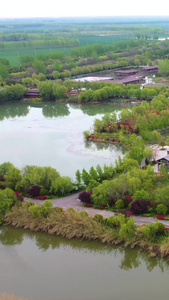 航拍5A洪泽湖湿地公园景工委岛视频旅游目的地视频
