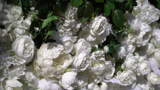 结婚仪式礼堂拱门装饰着白色花朵的视频
