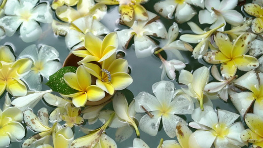 鲜花在水中的结婚戒指视频