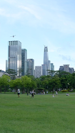 深圳莲花山公园风筝广场深圳市中心20秒视频